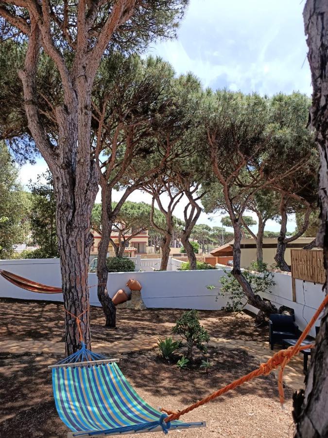 Villa Corvina Chiclana de la Frontera Εξωτερικό φωτογραφία